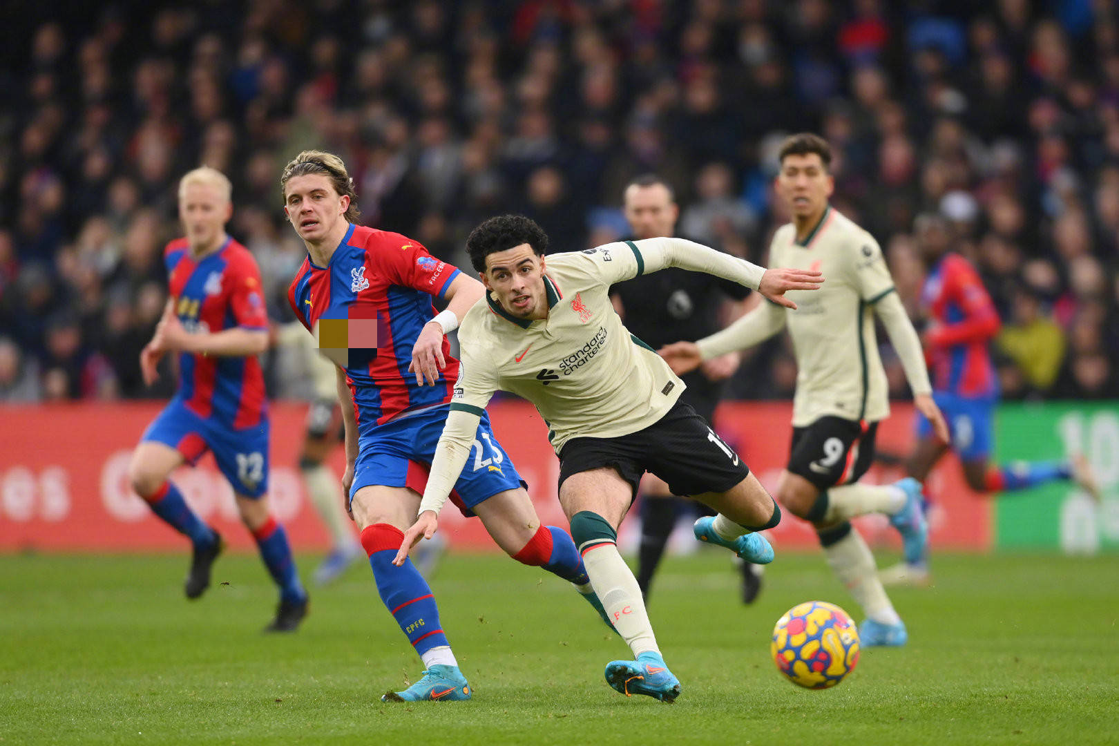 的场上视野 的场上视野